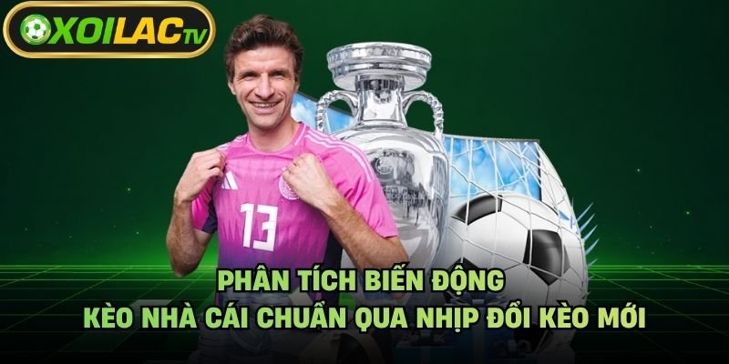 Phân Tích Biến Động Kèo Nhà Cái Chuẩn Qua Nhịp Đổi Kèo Mới