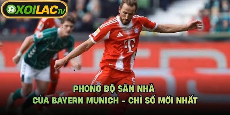 Phong Độ Sân Nhà Của Bayern Munich – Chỉ Số Mới Nhất