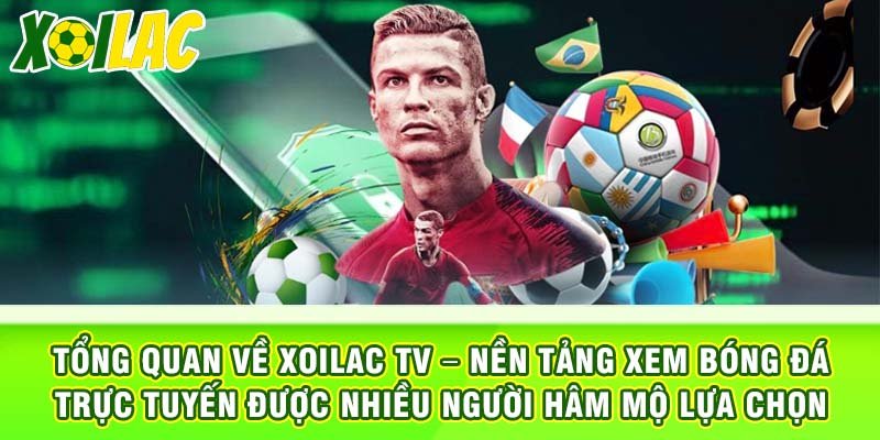 Giới thiệu về bộ phận hỗ trợ khách hàng của Xoilac